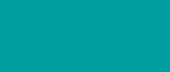Load image into Gallery viewer, Quad - Teal Love